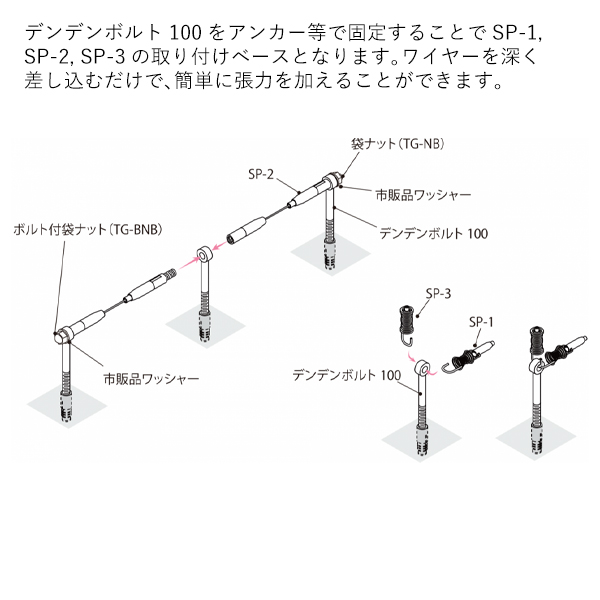 デンデンボルト100