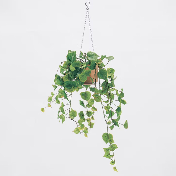 GR4453 ハンギングポット 吊下げ