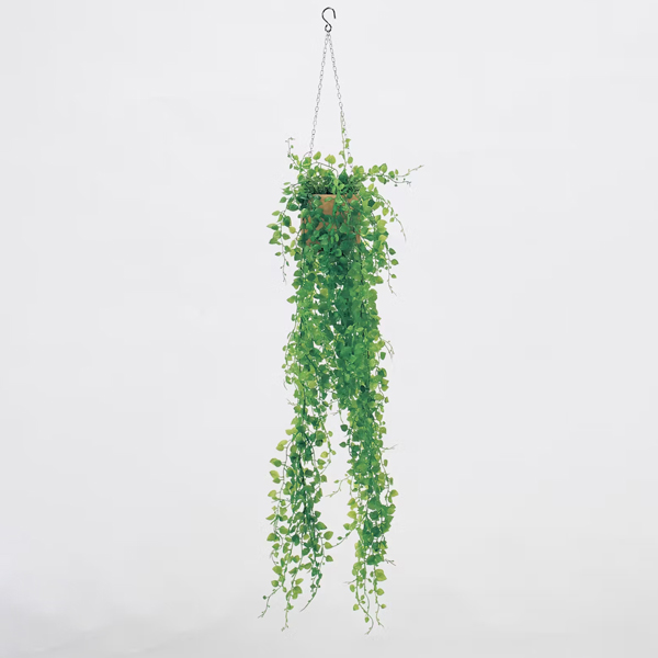 GR4454 ハンギングポット 吊下げ