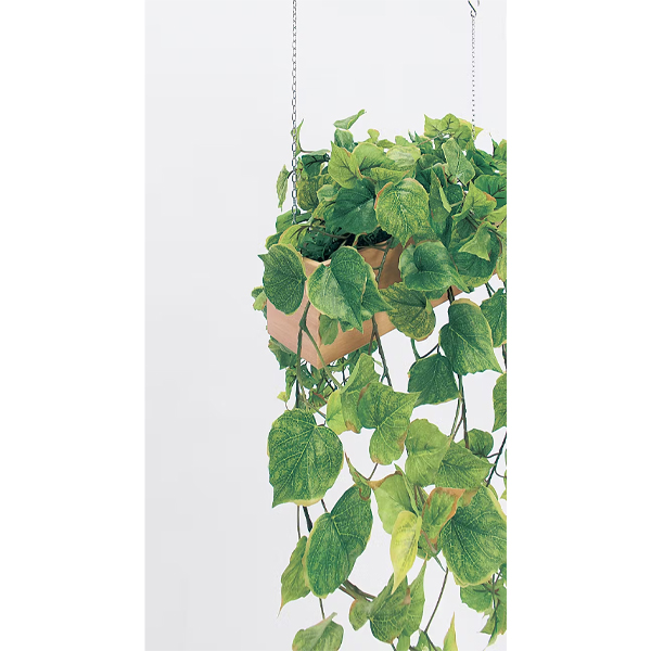 GR4457 ハンギングポット 吊下げ