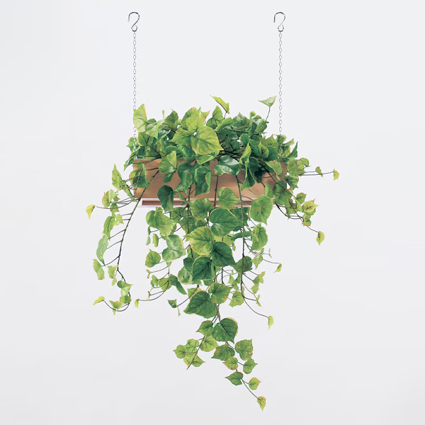 GR4457 ハンギングポット 吊下げ