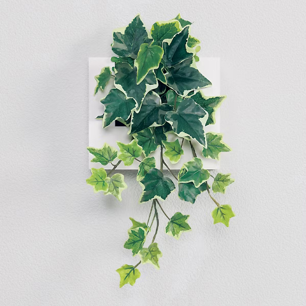 GR4466 ウォールポット