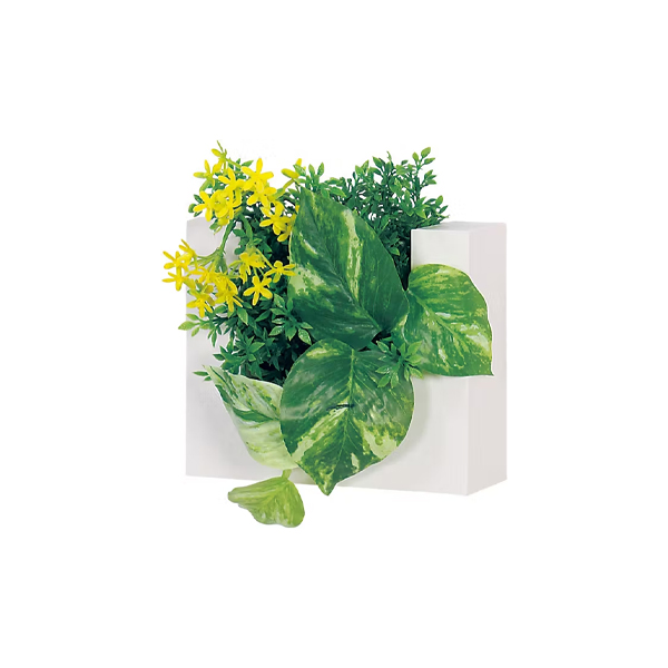 GR4468 ウォールポット