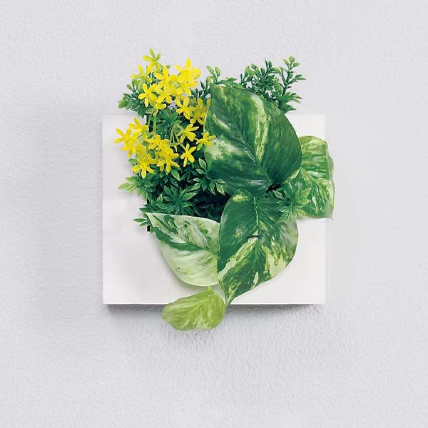 GR4468 ウォールポット