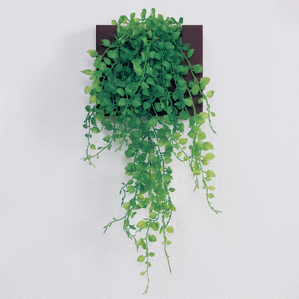 GR4469 ウォールポット