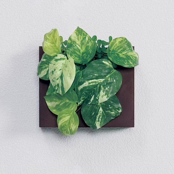 GR4470 ウォールポット