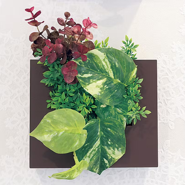 GR4471 ウォールポット