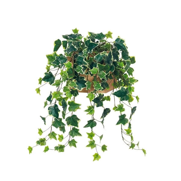 GR4472 ウォールポット