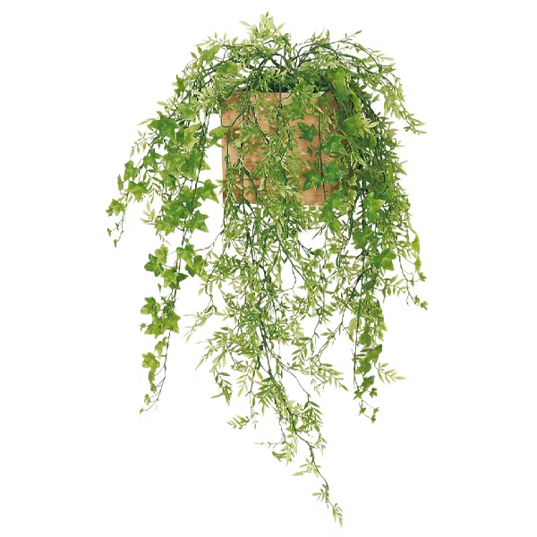 GR4473 ウォールポット