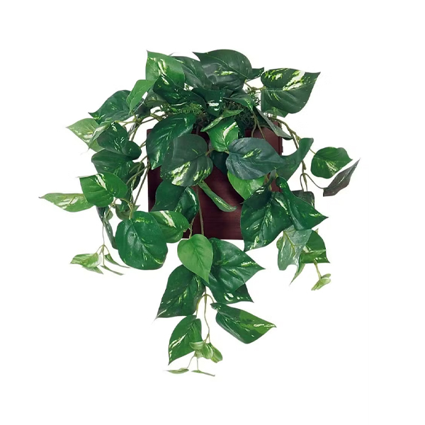 GR4475 ウォールポット